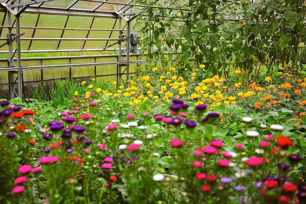 Giardinaria Müller SA - Susch