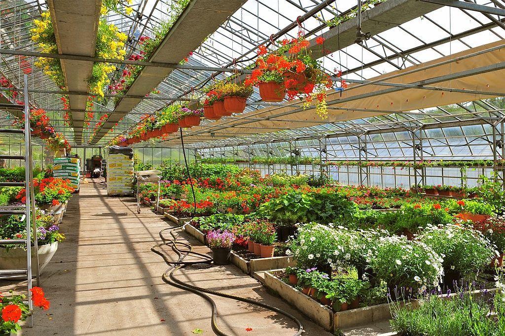 Giardinaria Müller SA - Susch