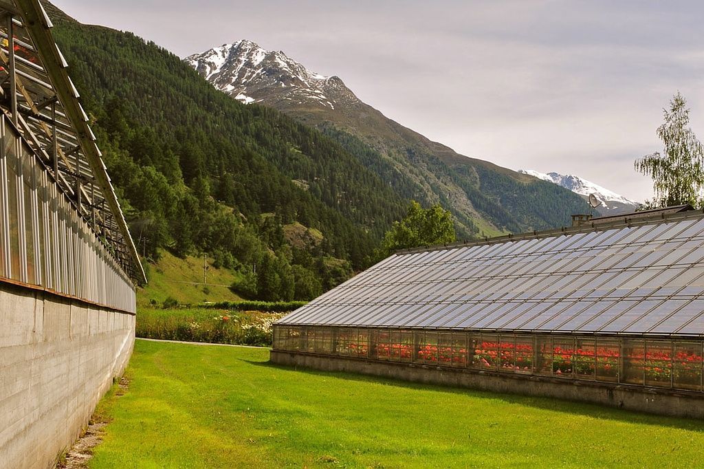 Giardinaria Müller SA - Susch