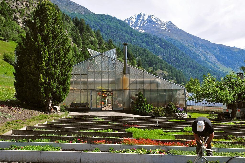 Giardinaria Müller SA - Susch