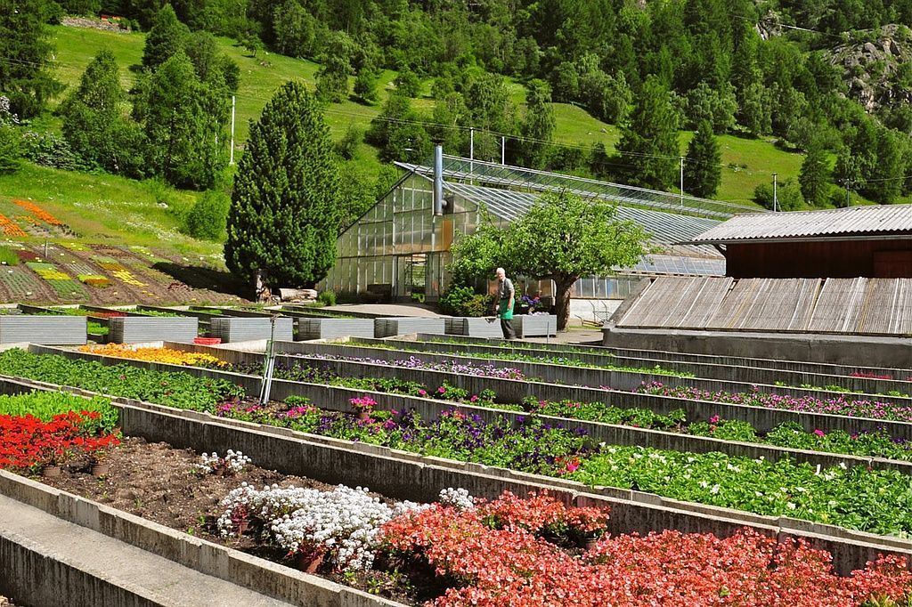 Giardinaria Müller SA - Susch