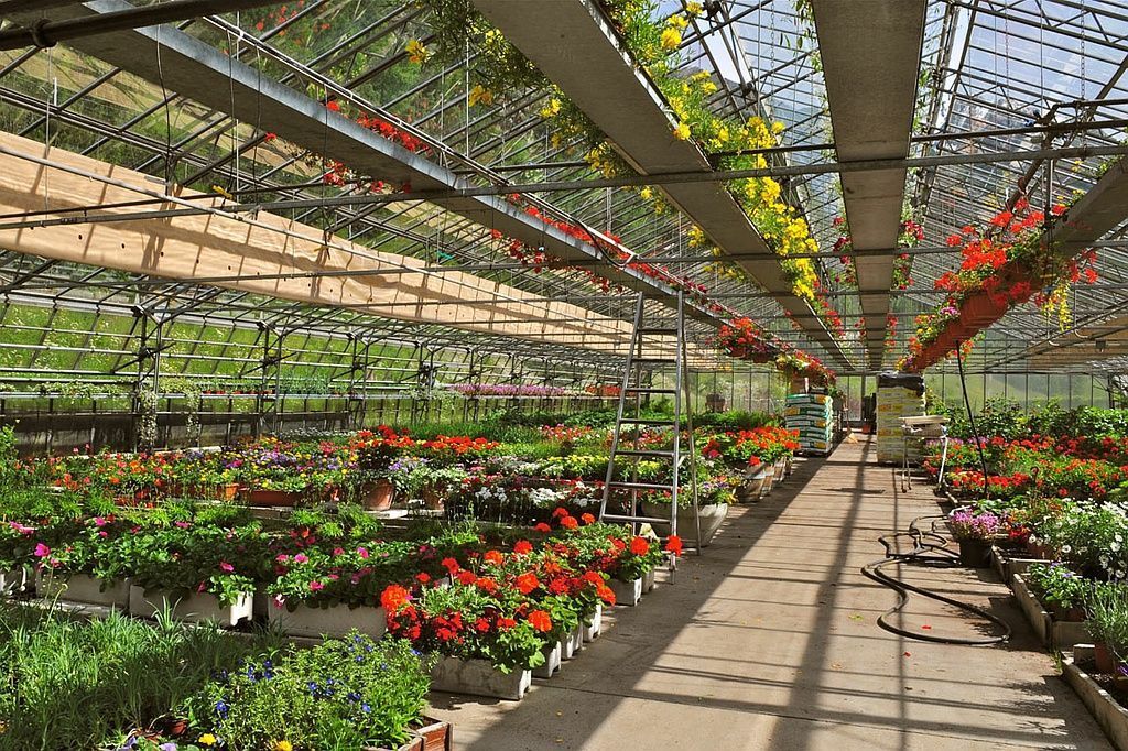 Giardinaria Müller SA - Susch