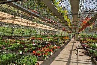 Gärtnerei - Giardinaria Müller SA - Susch | Engadin - Susch