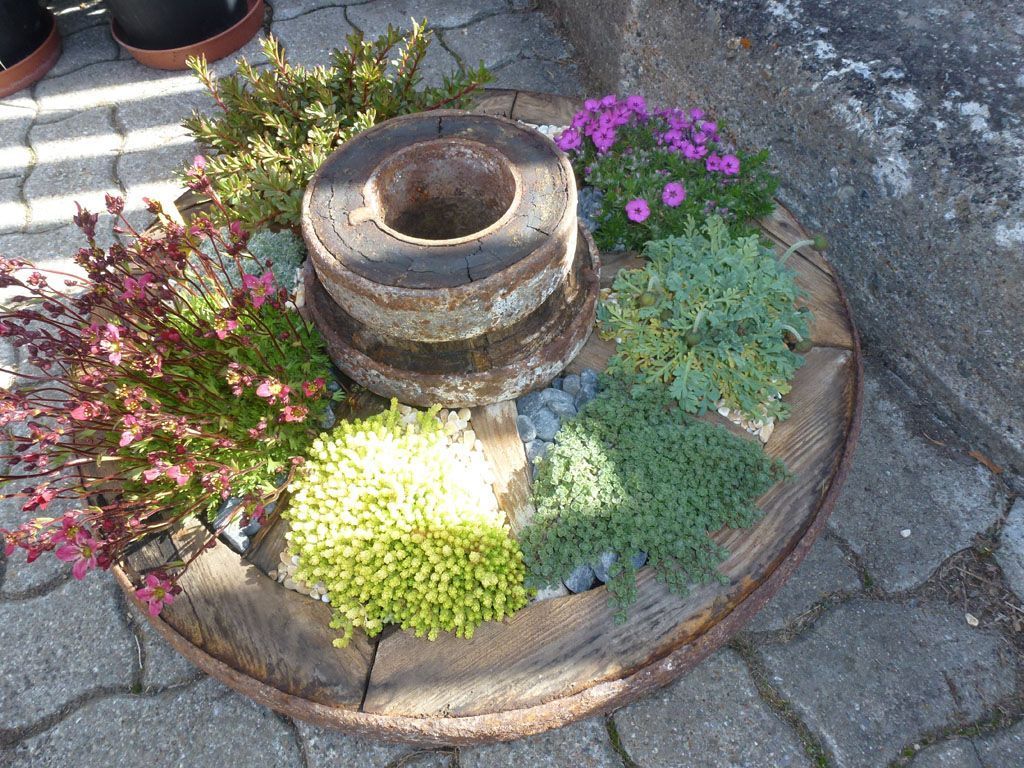 Giardinaria Müller SA - Susch