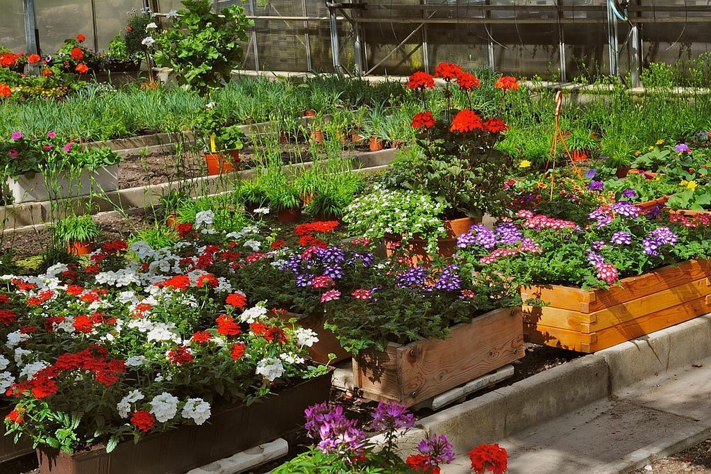 Giardinaria Müller SA - Susch