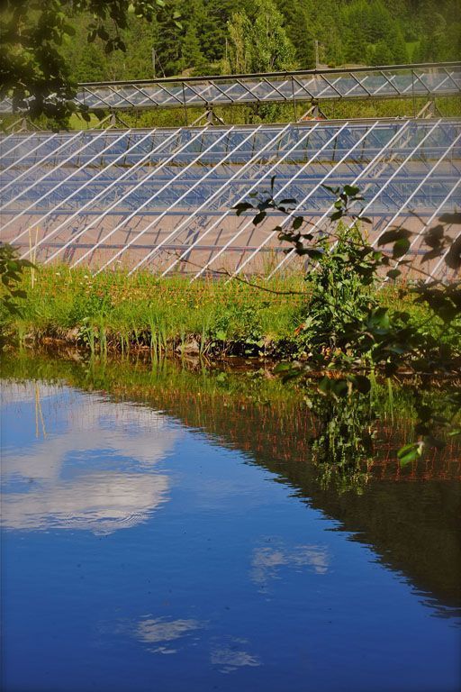 Giardinaria Müller SA - Susch