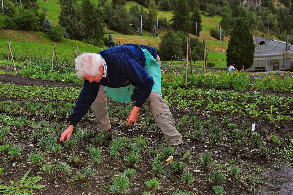 Giardinaria Müller SA - Susch