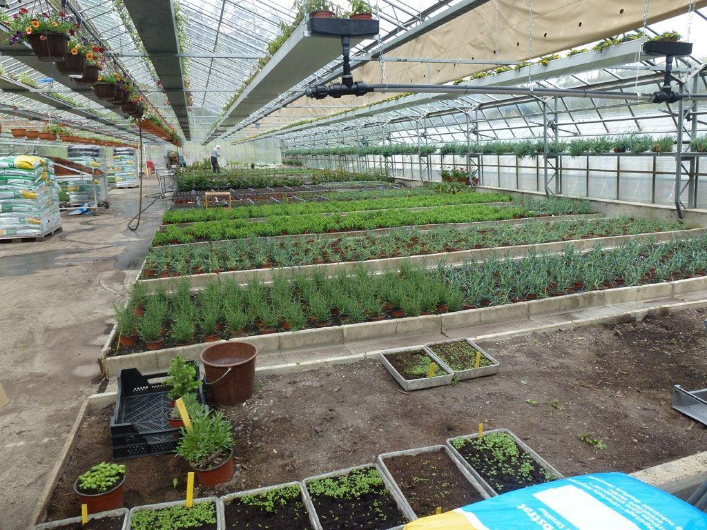 Giardinaria Müller SA - Susch