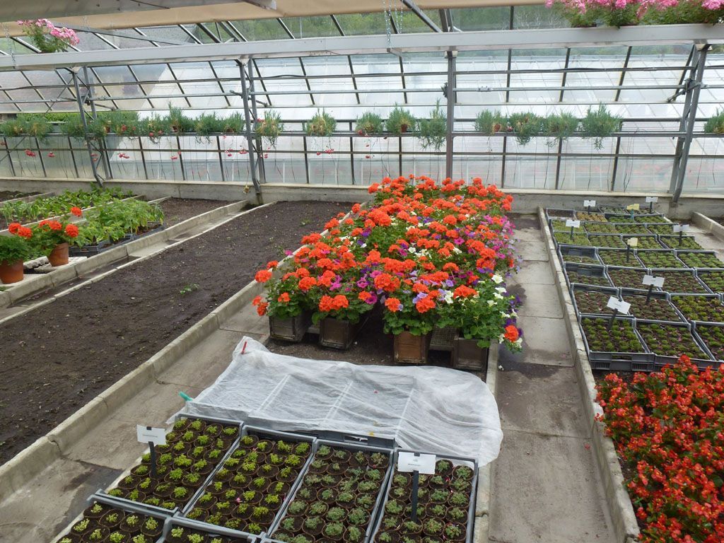 Giardinaria Müller SA - Susch