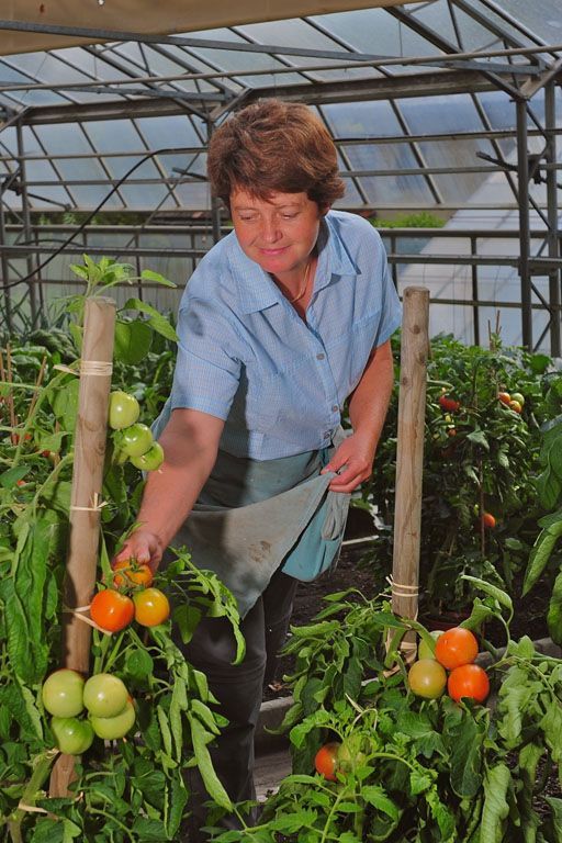 Giardinaria Müller SA - SuschMüller SA - Susch