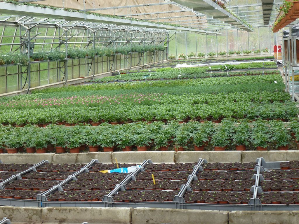 Giardinaria Müller SA - Susch