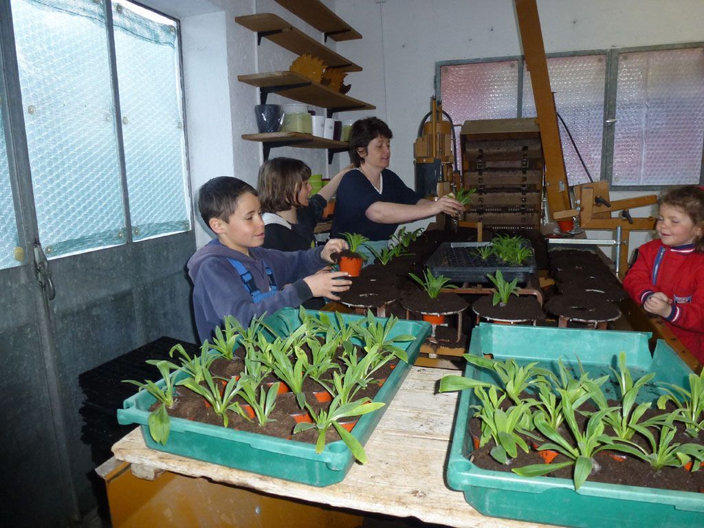 Giardinaria Müller SA - Susch