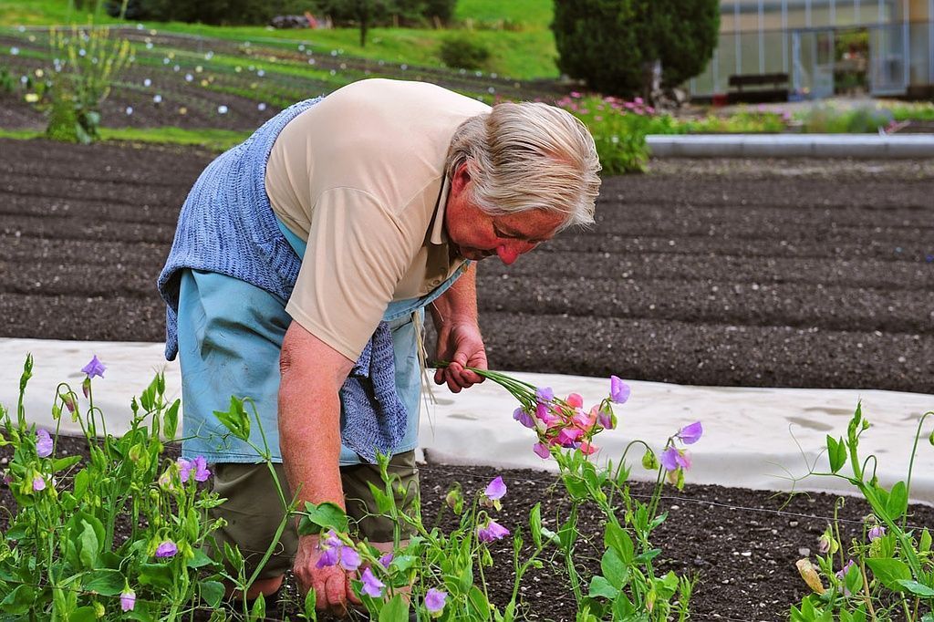 Giardinaria Müller SA - Susch