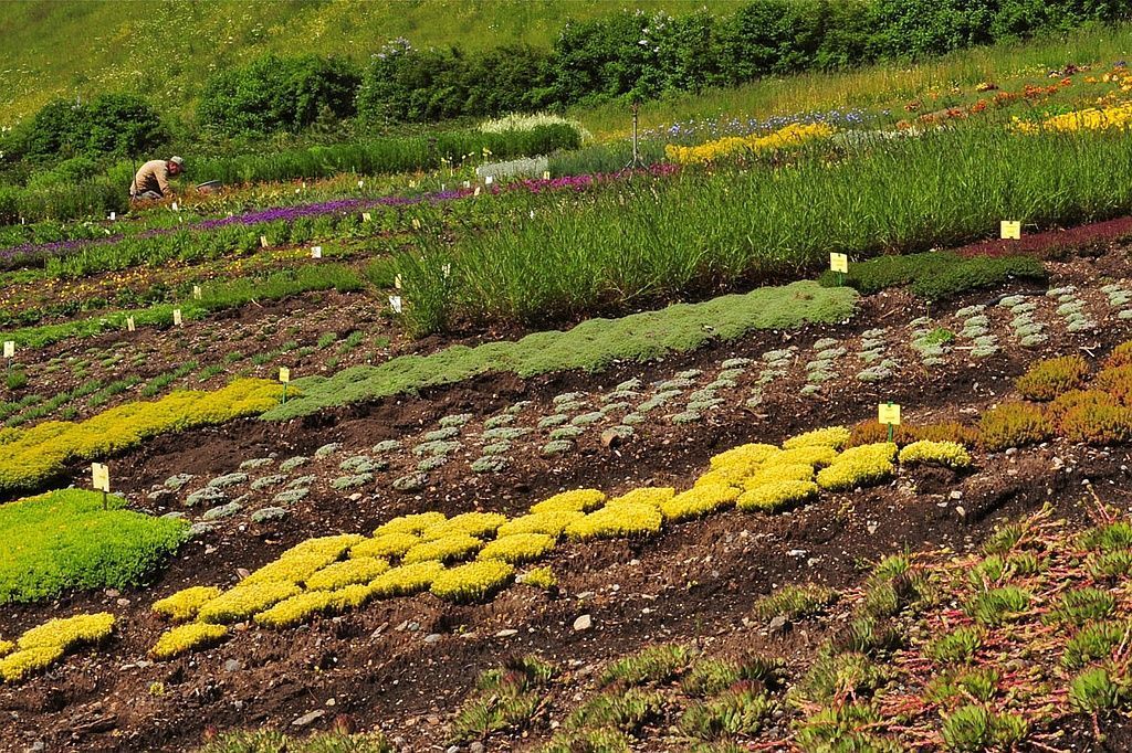 Giardinaria Müller SA - Susch