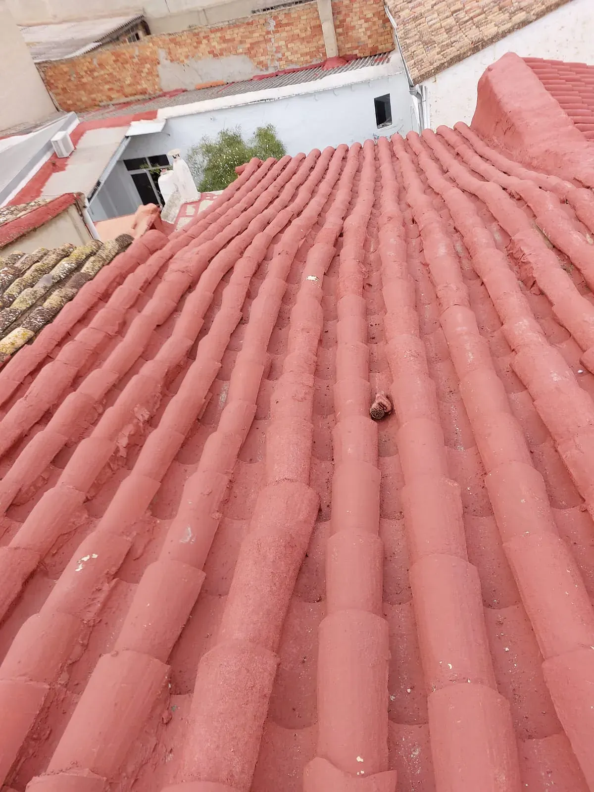 Un primer plano de un techo de tejas rojas con un pájaro sobre él.