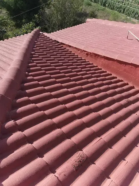 Un primer plano de un techo de tejas rojas con árboles al fondo.