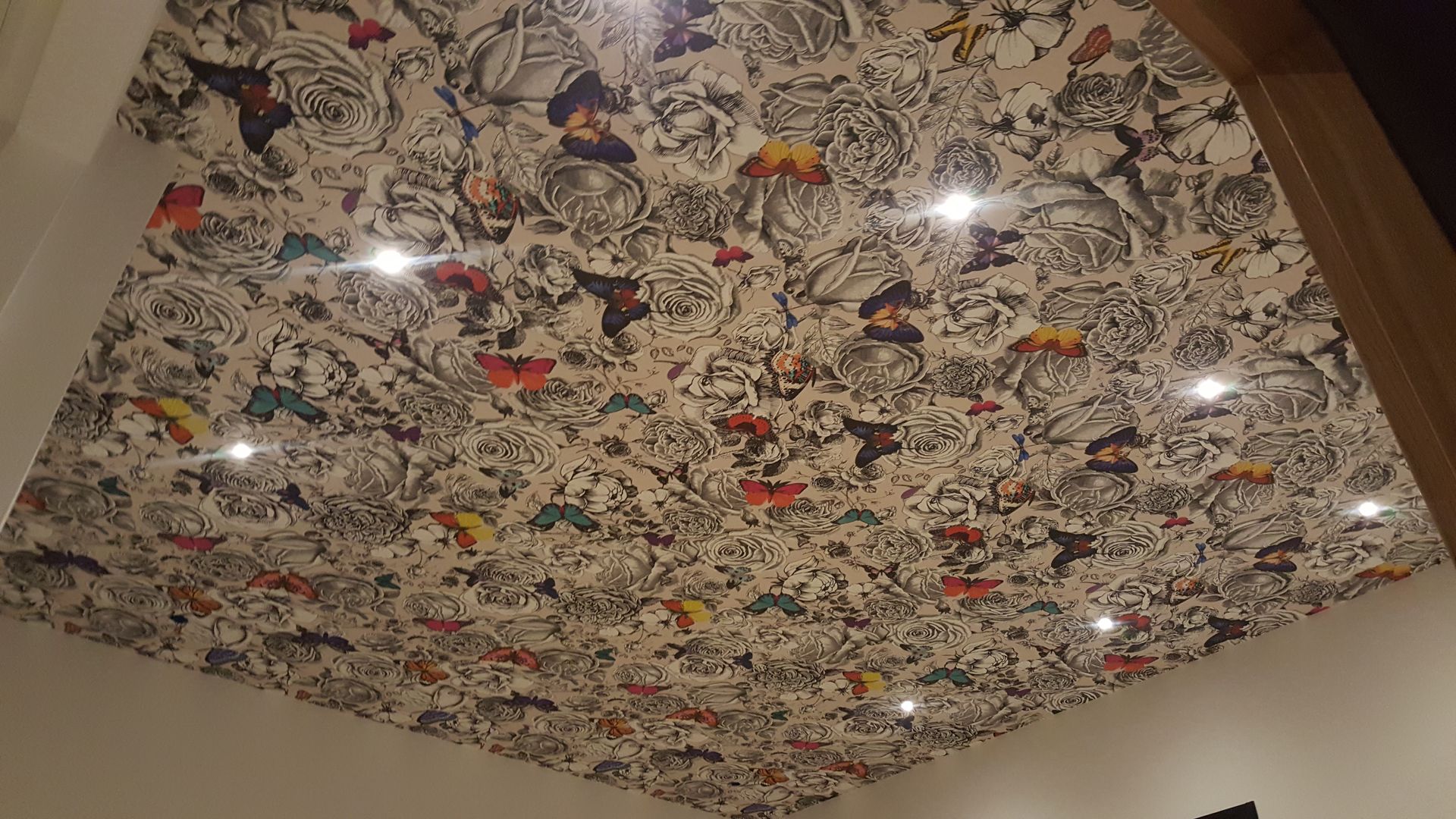 Plafond en toile tendue avec éclairage intégré