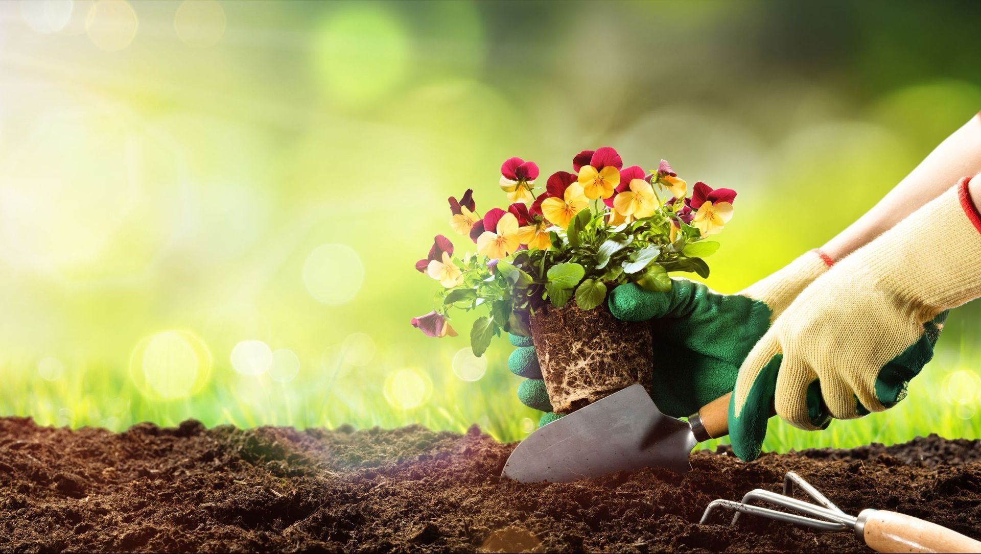 Garten Planung Gartenarbeit Hilfe