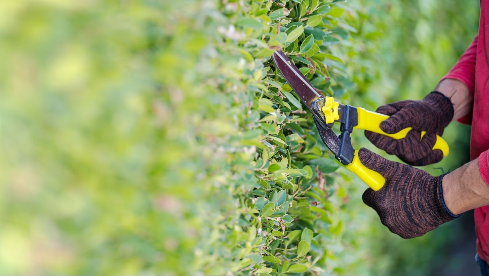 Garten Planung Gartenarbeit Hilfe