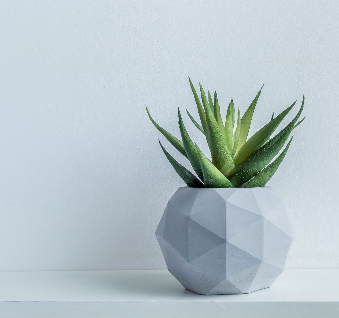 Una planta en maceta está colocada en un estante blanco.