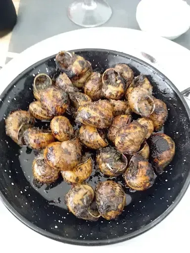 Caracoles