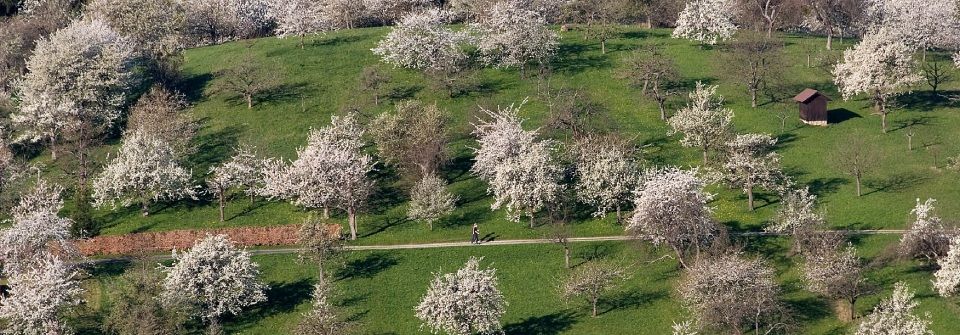 Leistungen der Steuerberaterin Boenigk