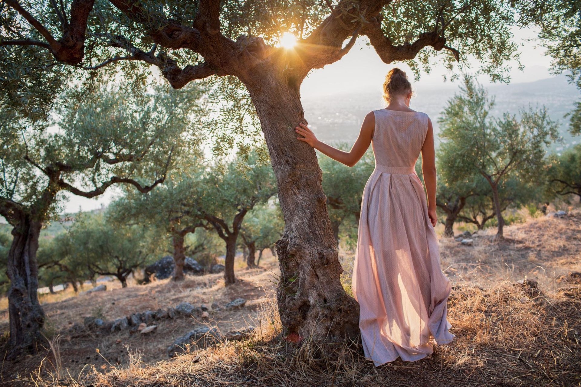 Une femme en robe rose se tient près d'un olivier au coucher du soleil dans une oliveraie.