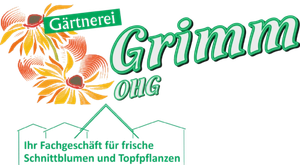 Otto-Grimm-logo
