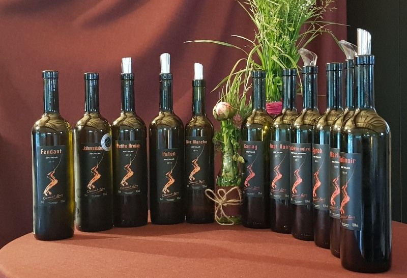 Plusieurs bouteilles de vin sont alignées sur une table