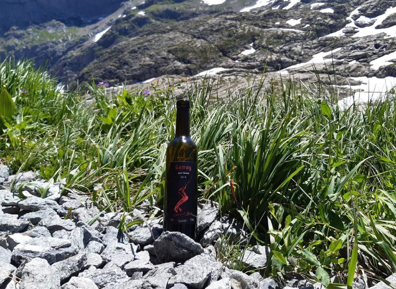 Une bouteille de vin est posée sur un rocher dans l'herbe.