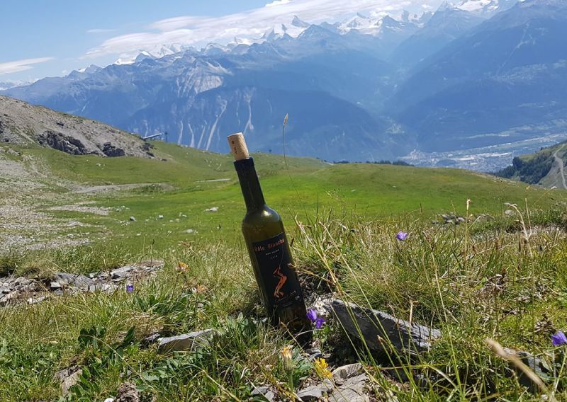 Une bouteille de vin est posée dans l'herbe avec des montagnes en arrière-plan.