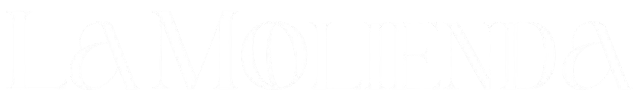 Texto blanco sobre fondo blanco.