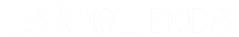 Texto blanco sobre fondo blanco.