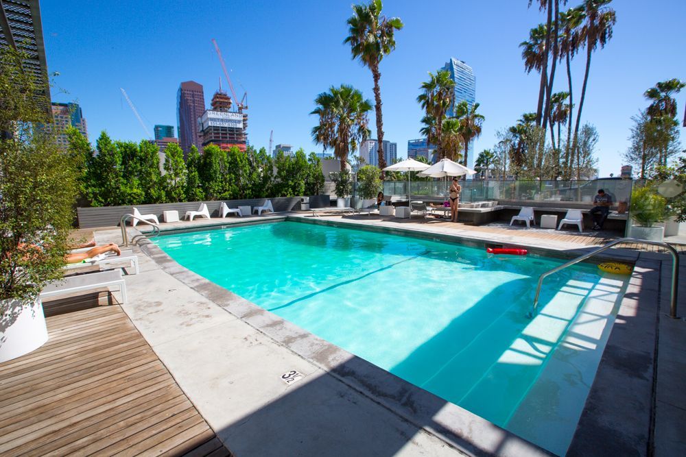 A large swimming pool with palm trees in the background