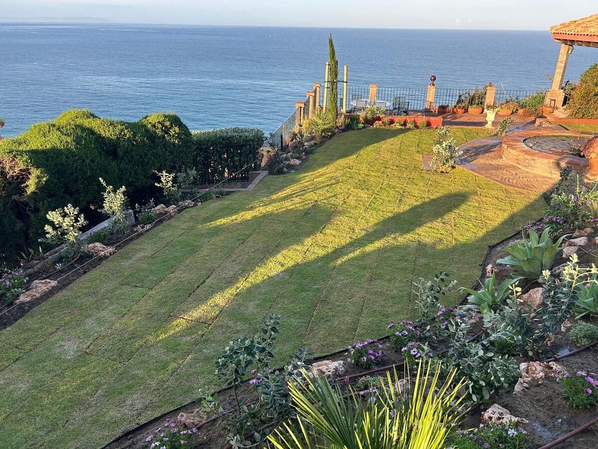 Jardín costero soleado con vistas al océano, con un césped verde en pendiente, flores y senderos de piedra.