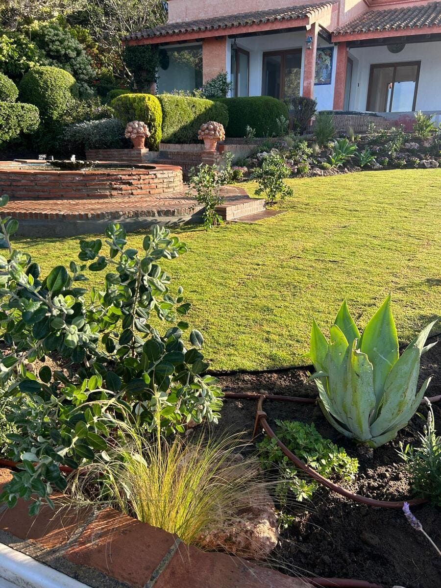 Jardín delantero con escalones de ladrillo, arbustos podados y una casa blanca al fondo.