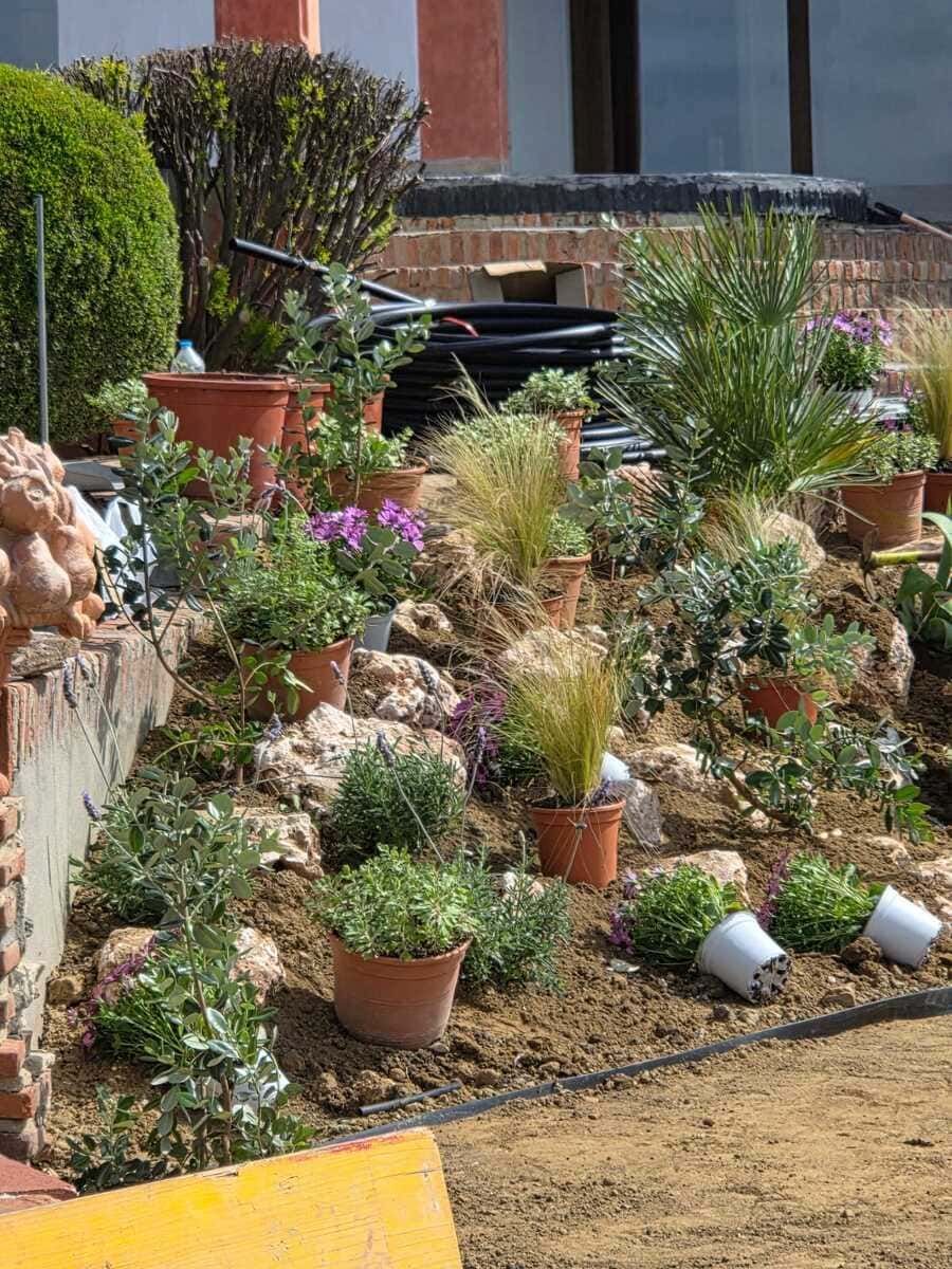 Jardín aterrazado con macetas de flores, suculentas y arbustos junto a la pared de un edificio.