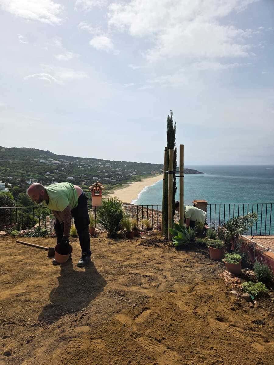 Un jardinero cuida las plantas en un mirador en lo alto de un acantilado, con vistas a una playa de arena y al océano azul.