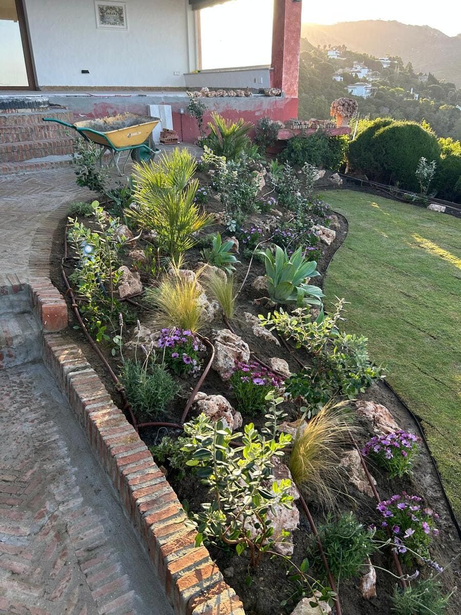 Parterre bordeado de ladrillos con plantas verdes y moradas junto a una casa, bañado por el sol.