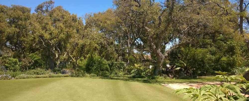 Un exuberante campo verde rodeado de árboles en un día soleado.