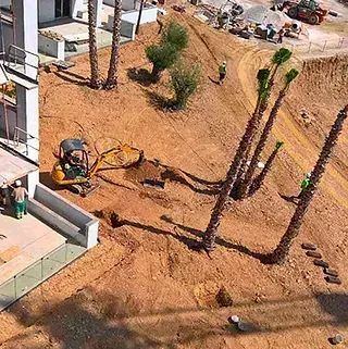 Una vista aérea de un sitio de construcción con una excavadora y palmeras.