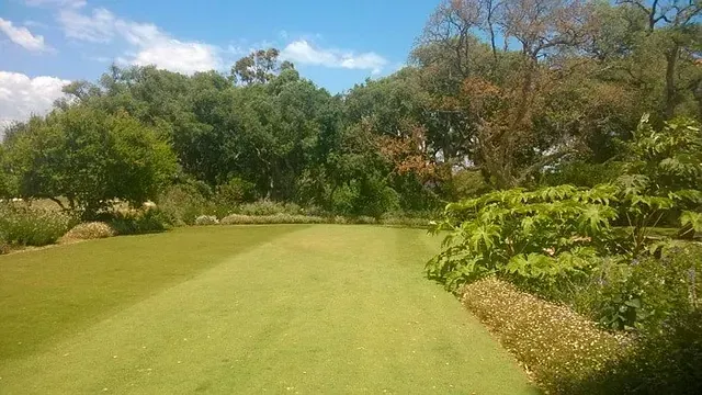 Un exuberante campo verde rodeado de árboles en un día soleado.