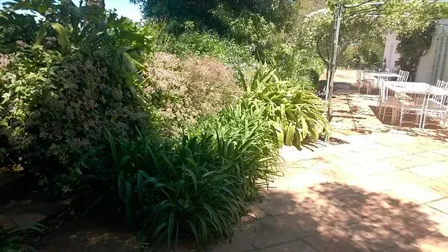 Un patio con mesa y sillas rodeado de árboles y arbustos.