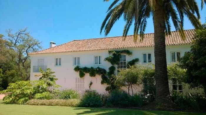Una gran casa blanca con una palmera delante de ella.