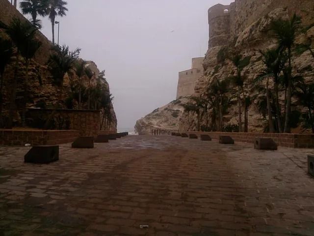 Un camino de ladrillos que conduce a un castillo rodeado de palmeras.