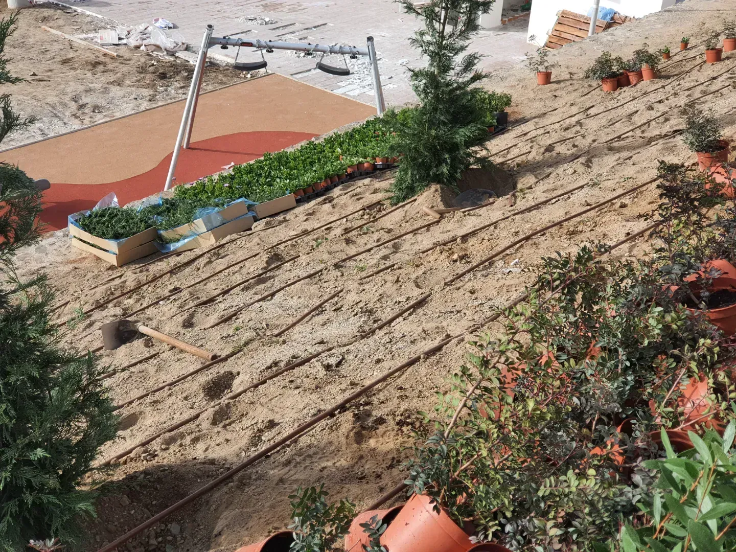 Un montón de plantas en macetas están colocadas en la cima de una colina de tierra.