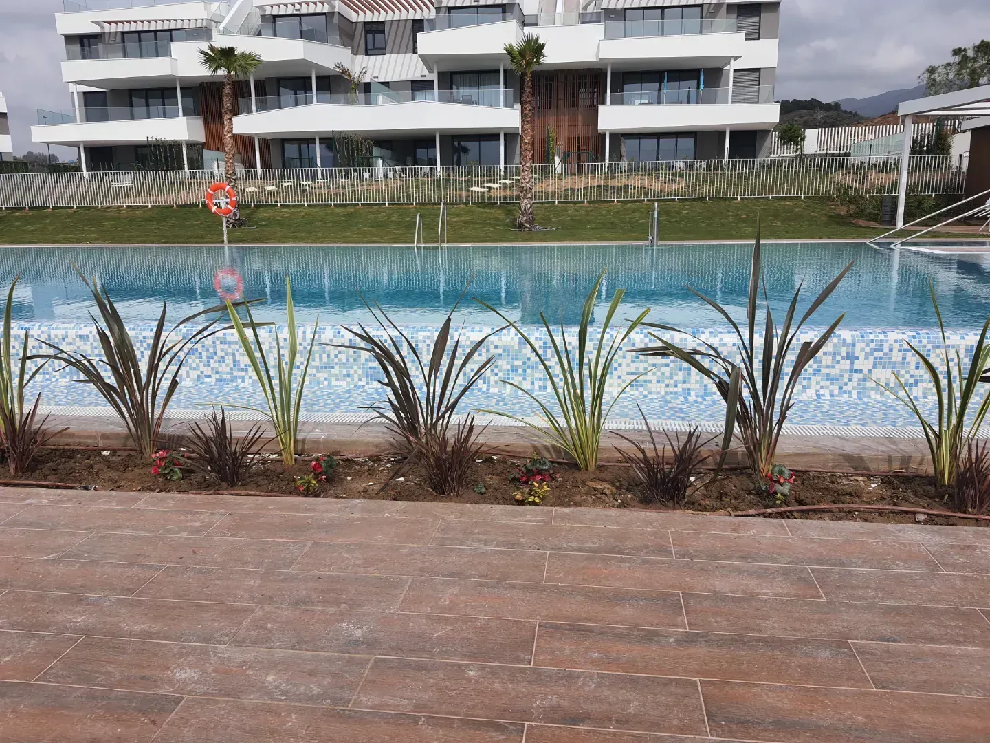 Una gran piscina está rodeada de plantas frente a un edificio.