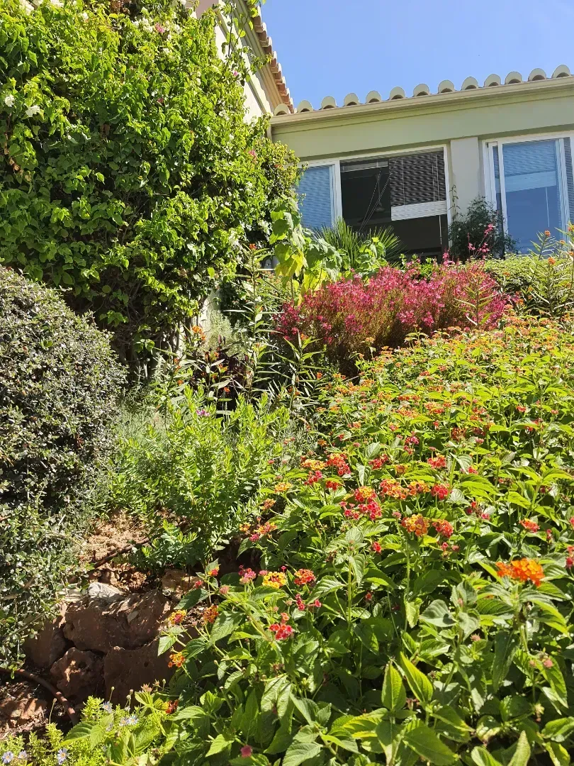 Un jardín lleno de muchas flores y plantas frente a una casa.