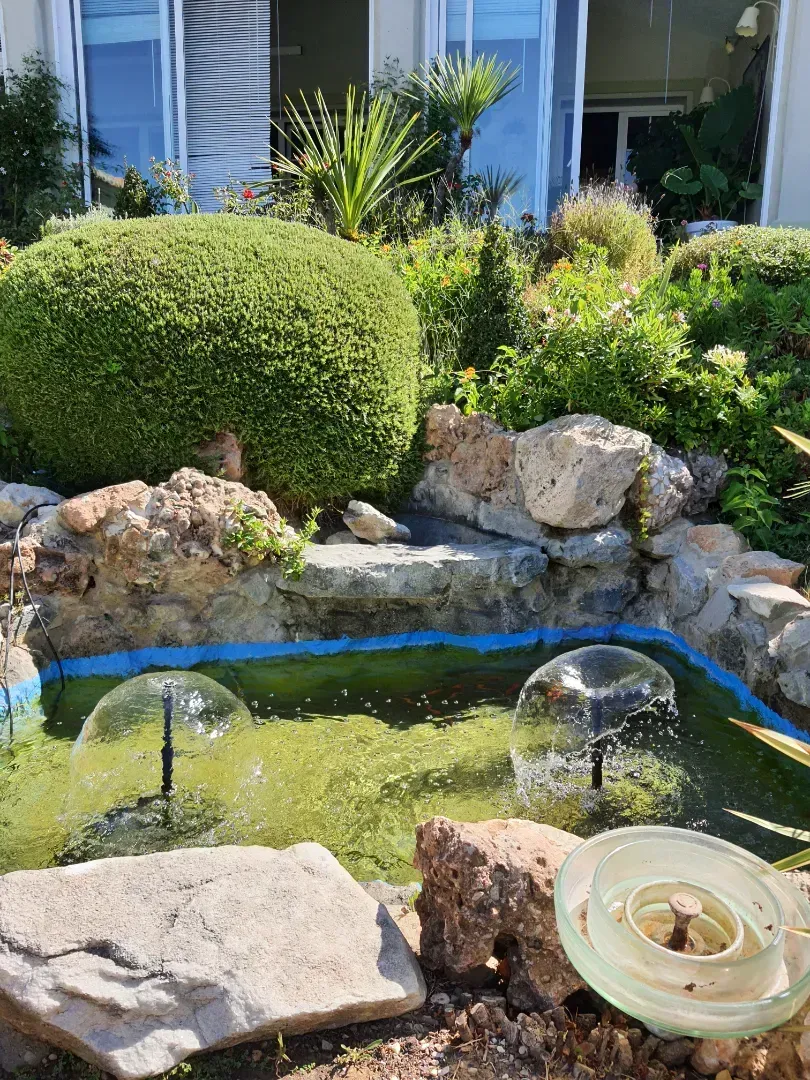 Hay una fuente en el medio del jardín.