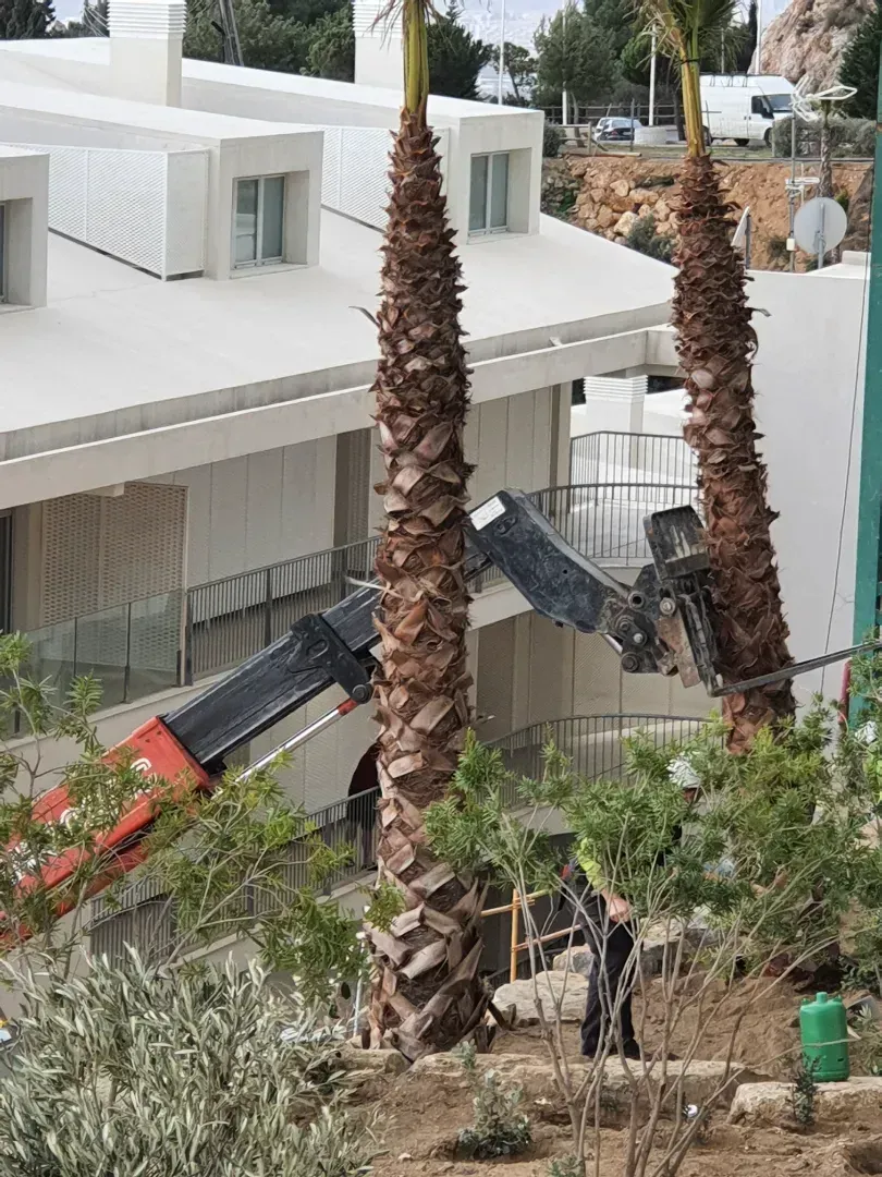 Un edificio con una grúa y palmeras delante.